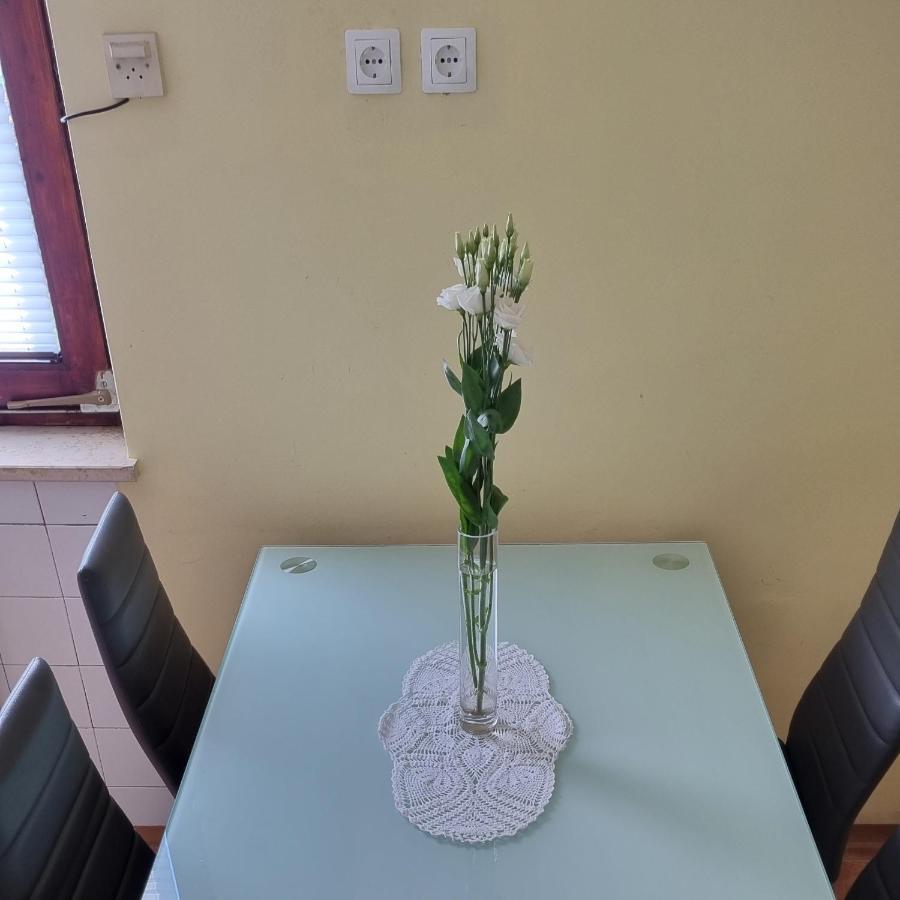 Apartma Tanja -Kamnik Exterior foto